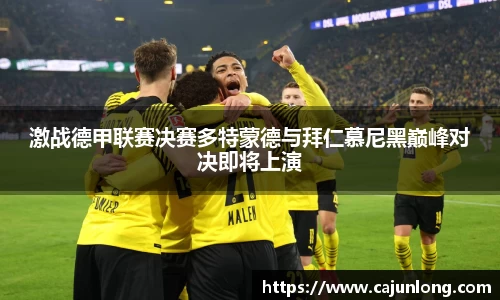 emc易倍